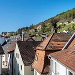 Schwarzwaldnest *