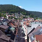 Apartamento Schwarzwaldnest Bad Wildbad