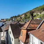 Schwarzwaldnest *