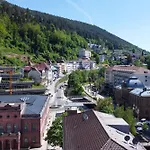 Schwarzwaldnest * Bad Wildbad