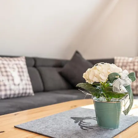 Schwarzwaldnest Apartament Bad Wildbad