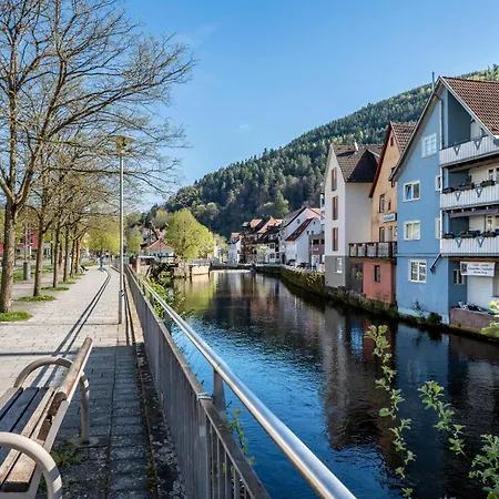 Apartament Schwarzwaldnest