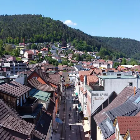 Apartamento Schwarzwaldnest Bad Wildbad