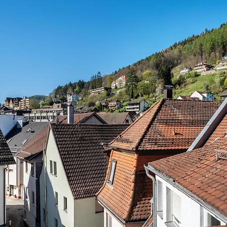 Schwarzwaldnest *
