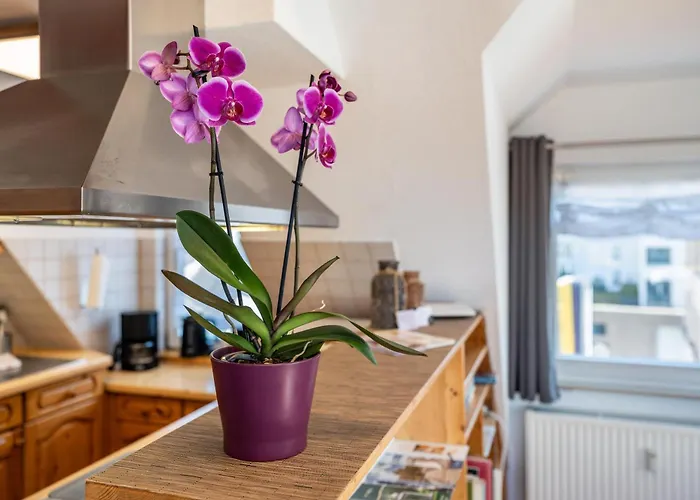 Schwarzwaldnest * Bad Wildbad